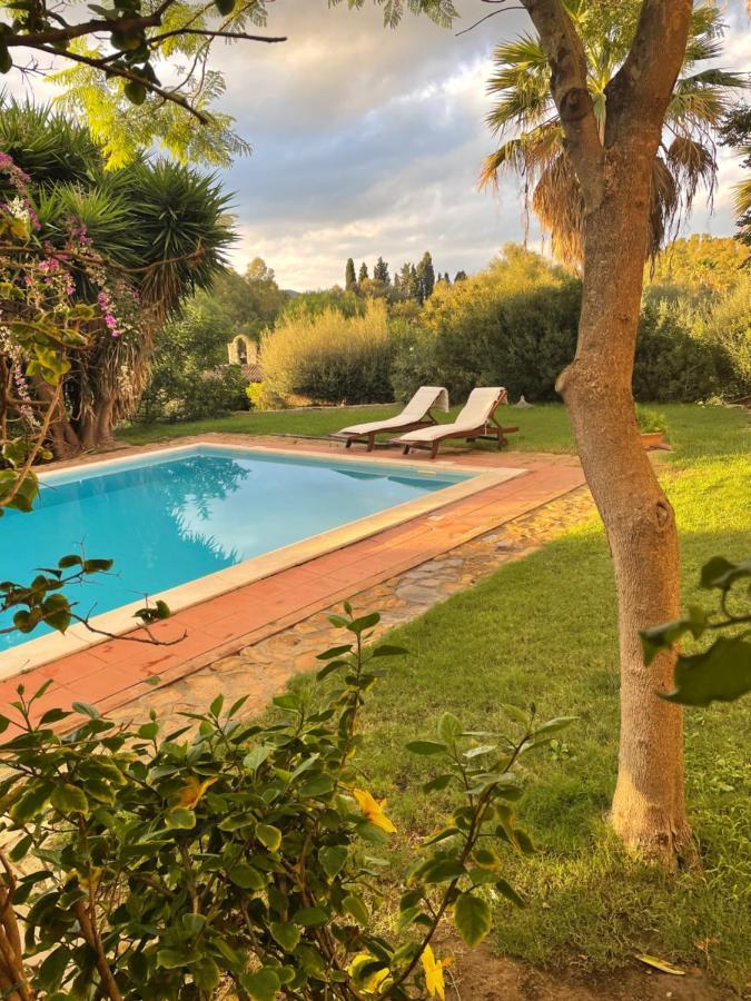 Natura & Relax Ficus Саррок Екстер'єр фото